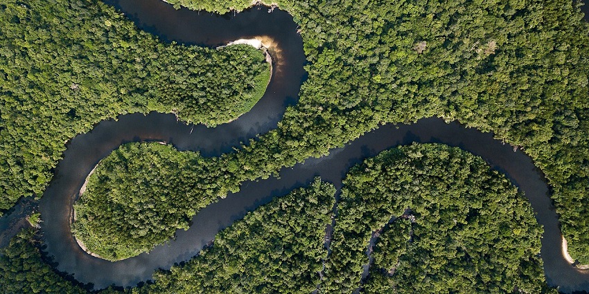 Trek though the Cardamom Mountains which is one of the things to do in Cambodia.