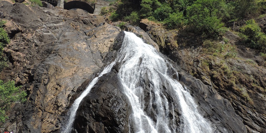 Trekking at Dudhsagar Waterfalls is one of the best things to do in Goa in August