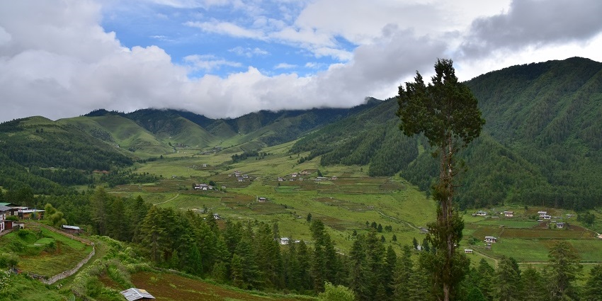 Scenic valley known for black-necked cranes, best nature spot in Bhutan to visit.
