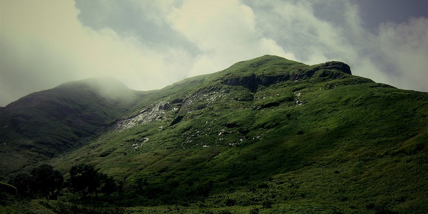 Go on a trek to the Brahmagiri peak that is surrounded by lush greenery in Coorg