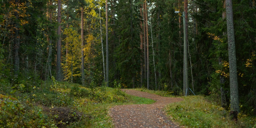 Trekking is one of the best things to do in Kuldiha Wildlife Sanctuary for travellers.