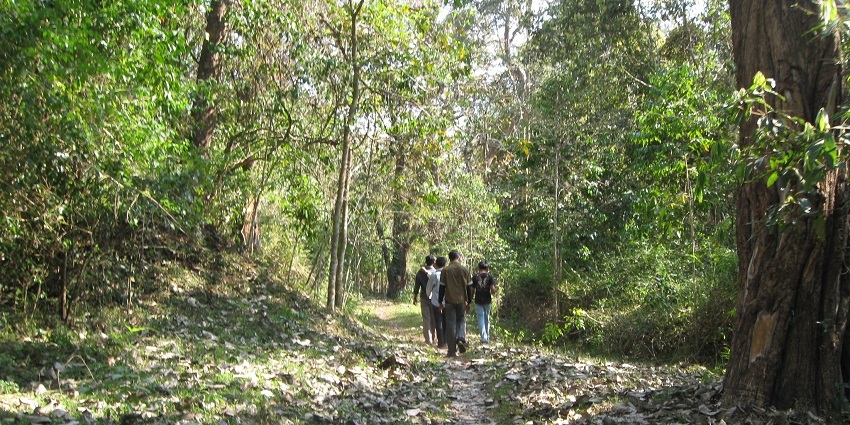 Choose to trek through the dense forests of the region to make the most of your trip.