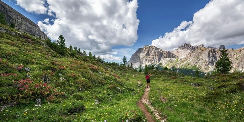 Picturesque view of a trekker wandering the lush trails with vibrant flowerbeds alongside