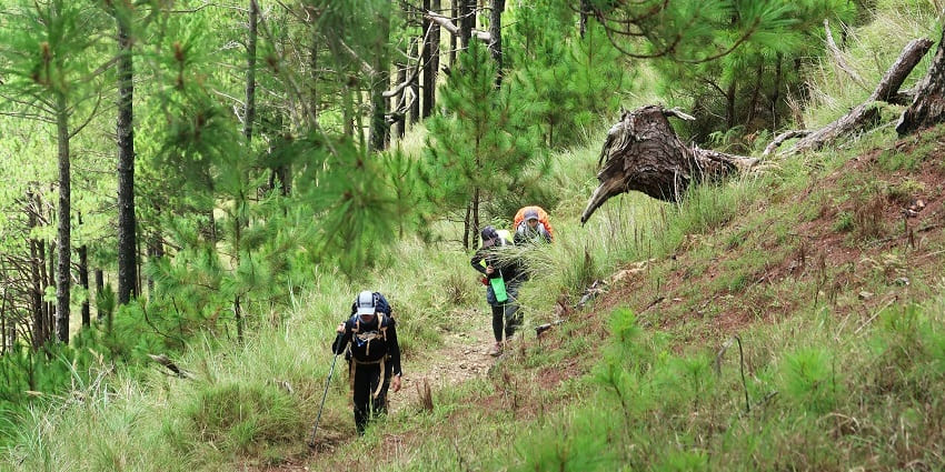 Travellers trekking in the wildlife sanctuary on a steep slope for a thrilling adventure.