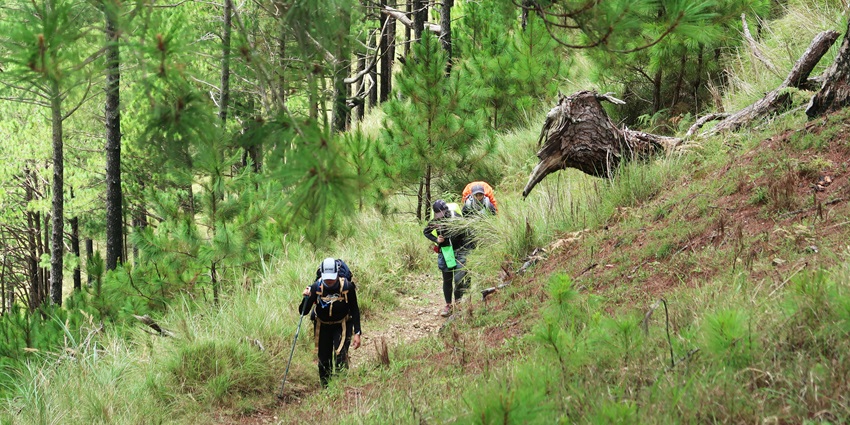 People trekking on the hills covered with dense forests and having their best adventure.