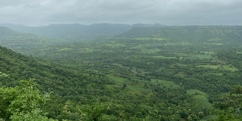 Tourists trekking through lush nature trails is one of the best things to do in Maheshwar.
