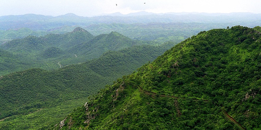Scenic view of the lush green Aravalli Hills, showcasing the natural beauty of the region.