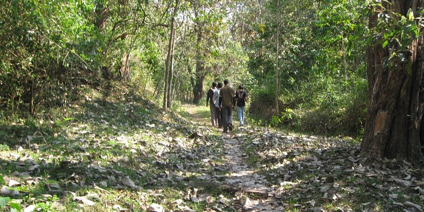 Trekking through the Talakaveri Wildlife Sanctuary is one of the best things you can do.
