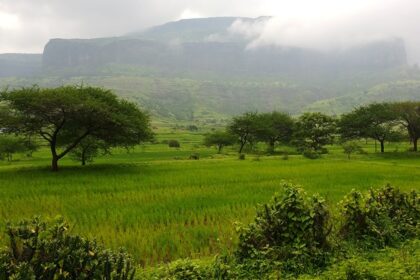 Places to visit near Trimbakeshwar include pilgrimage site with rich history, spirituality, and nature