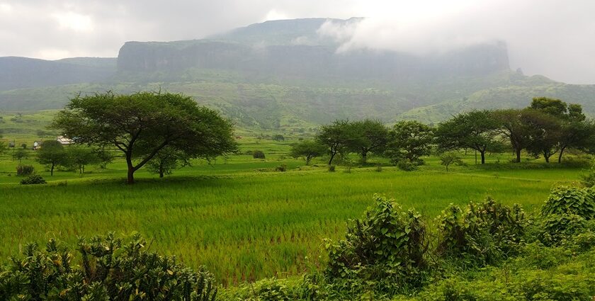 Places to visit near Trimbakeshwar include pilgrimage site with rich history, spirituality, and nature