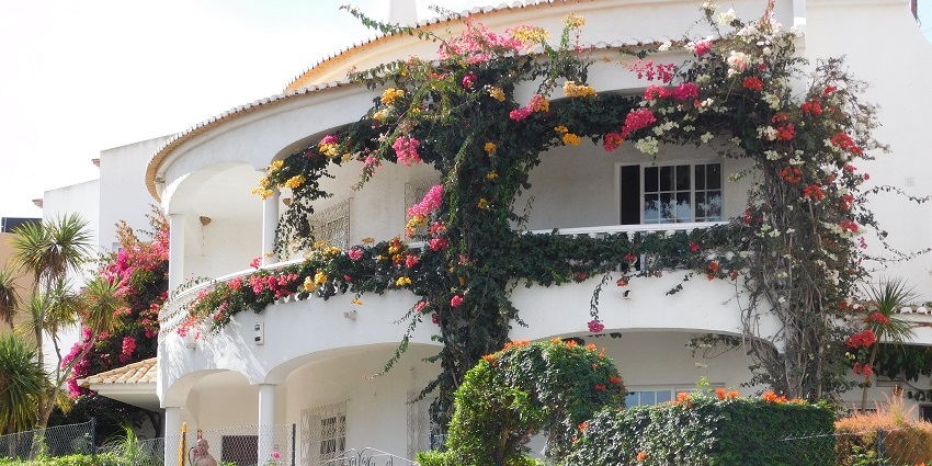 Eco-friendly Trivik Hotels offers stunning views, modern rooms, and amenities.
