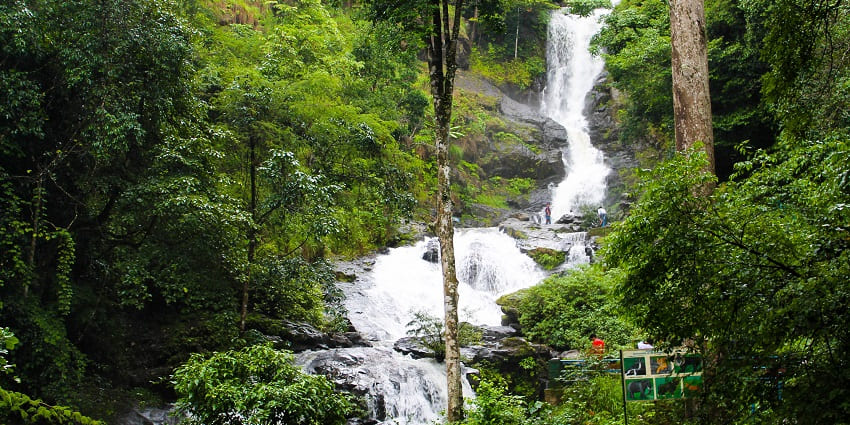 A waterfall cascades through a vibrant forest near the Brahmagiri Wildlife Sanctuary.