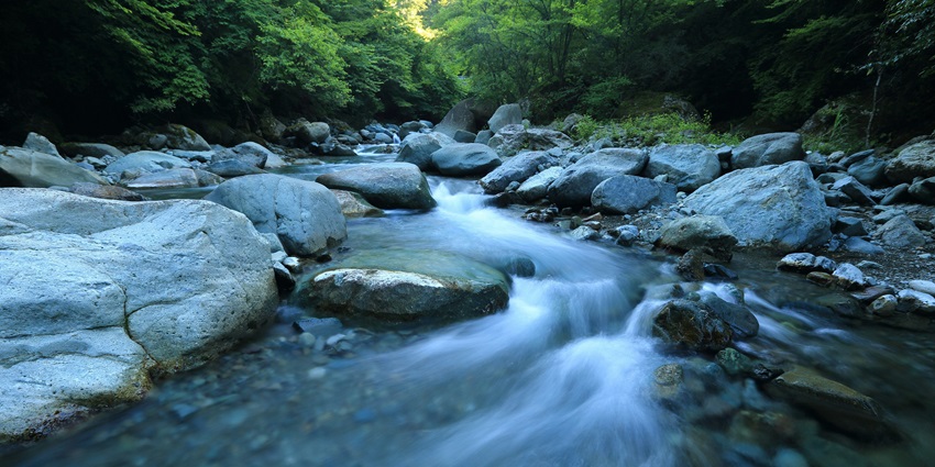 A glimpse of shimmering waters surrounded by lush greenery at the Tungabhadra River.