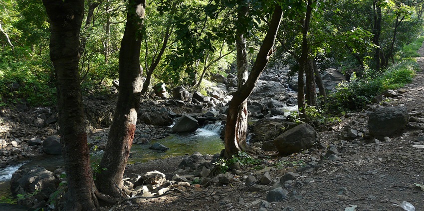 Tungareshwar National Park, is one of the famous places to visit near Virar, Maharashtra offering trekking, waterfalls, and wildlife for nature lovers.