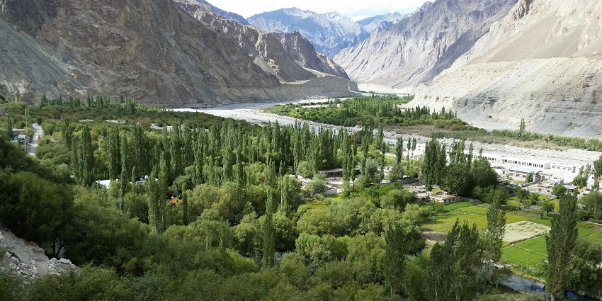 Scenic image of the beautiful Turtuk Village surrounded by the lush green pine Trees