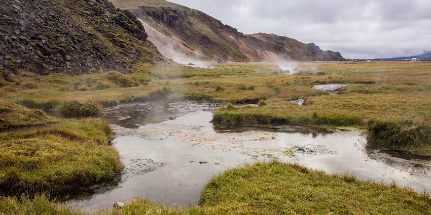 A serene spring surrounded by lavish green land and natural beauty