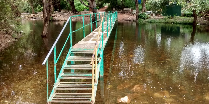 Watch out for Ubbalamadugu Falls which is one of the places to visit near Srikalahasti.