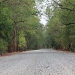 A panoramic view of the landscape of the Udanti Wildlife Sanctuary with dense forests.