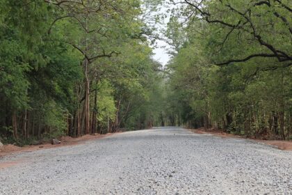 A panoramic view of the landscape of the Udanti Wildlife Sanctuary with dense forests.