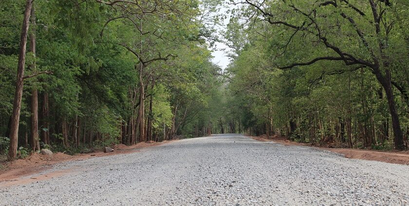 A panoramic view of the landscape of the Udanti Wildlife Sanctuary with dense forests.