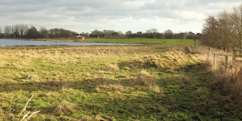 A picture of a vast landmass covered in lush greenery, with a water body in background