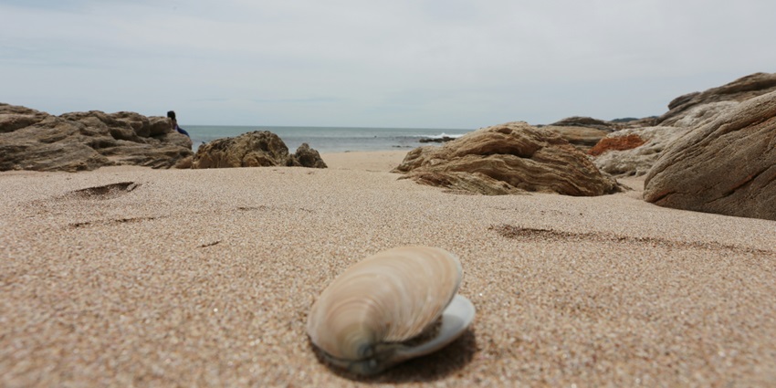 Ullal with its gentle sands and a serene sea is ideal for unwinding on a summer evening.