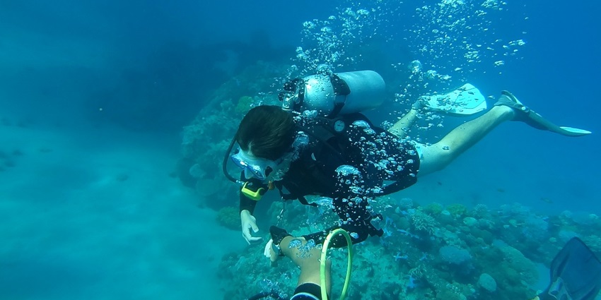 Uma Guma Reef is one of the best places to enjoy scuba diving in Goa for travellers.