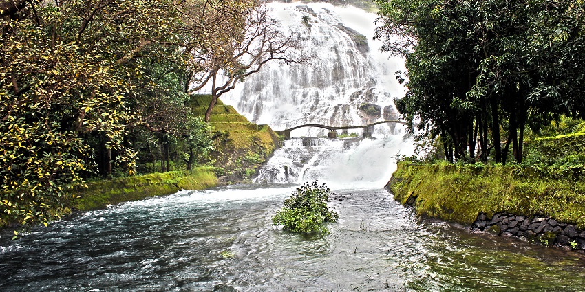  Umbrella Falls offering seasonal cascades, perfect for nature lovers and photographers.
