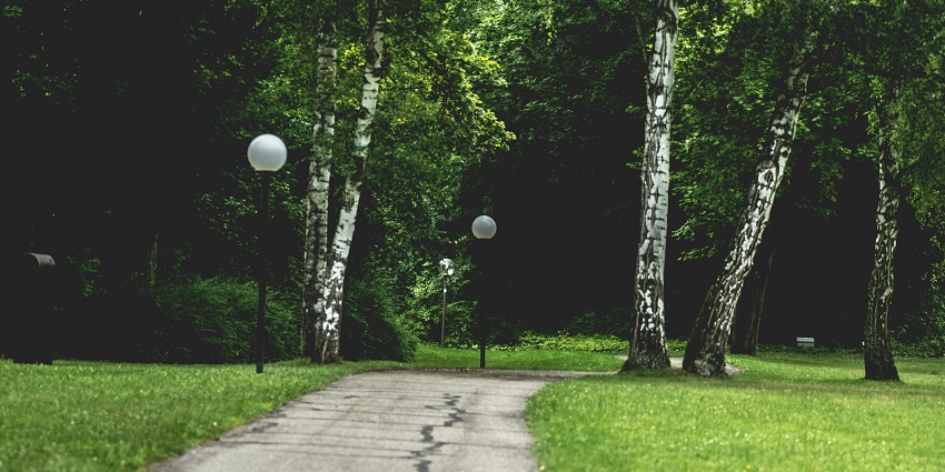 If you are looking to unwind, relax and host a picnic, Nehru Park is the best place to be.