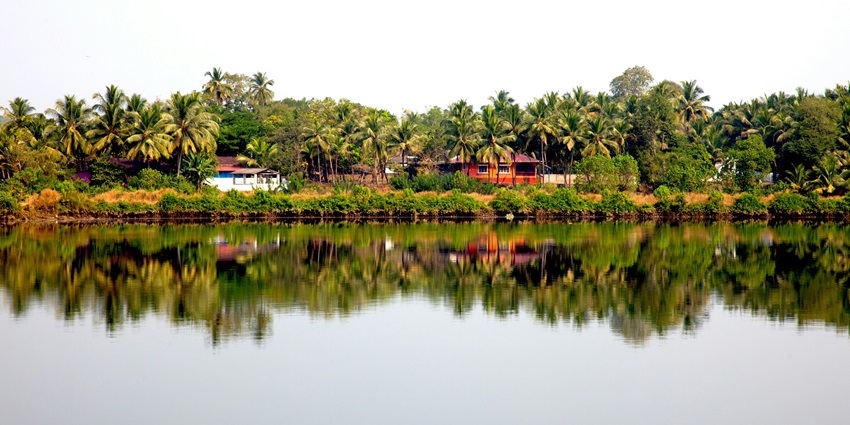 Witnessing the serenity of Anjuna Lake is one of the top things to do in Anjuna, Goa.