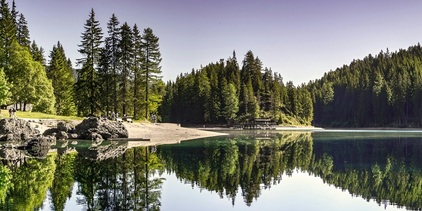 An image of Upper Lake with serene waters and lush green surroundings.