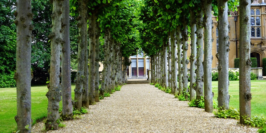 Achanta Garden is one of the popular places to visit in Vizianagaram for relaxation.