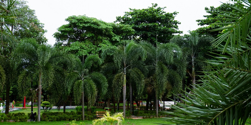 VUDA Park is also known as Taraka Rama Park and offers play areas for children.