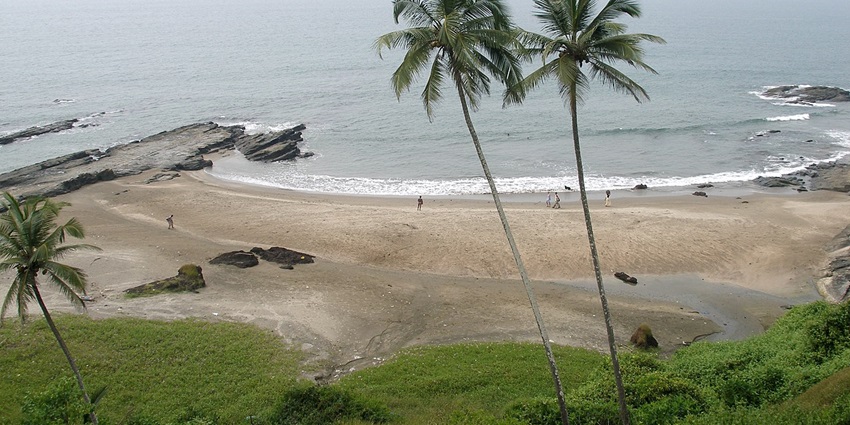 Image of Vagator, Goa, India, Palm trees - peaceful beach located a short drive from Candolim