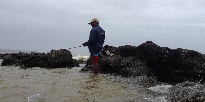Vainguinim Beach which is near the Panjim is fav spot for fishing for the locals and tourists

