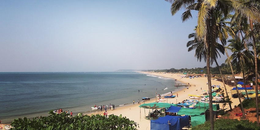 Vainguinim Beach is a nature lover’s paradise, offering stunning sights of birds and waves.