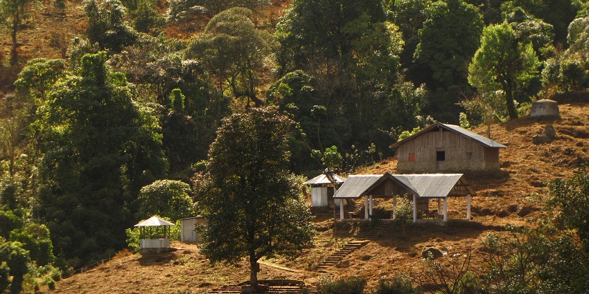 Choose to visit Dzukou Valley in July and August months for a blissful experience.