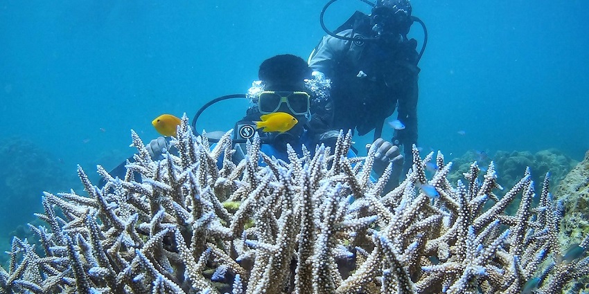 Go scuba diving in South Goa at Velsao Beach and experience the magic of the sandy shores
