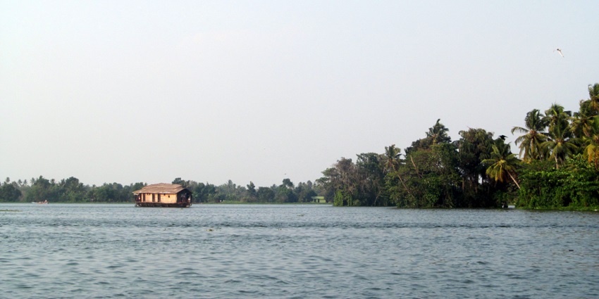 Kayaking in Vembanad Lake is an enthralling experience as you get to see the varied flora here