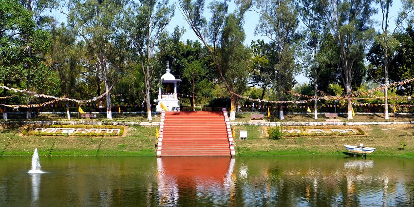 A picture of a water body with a staircase in the middle, surrounded by a garden