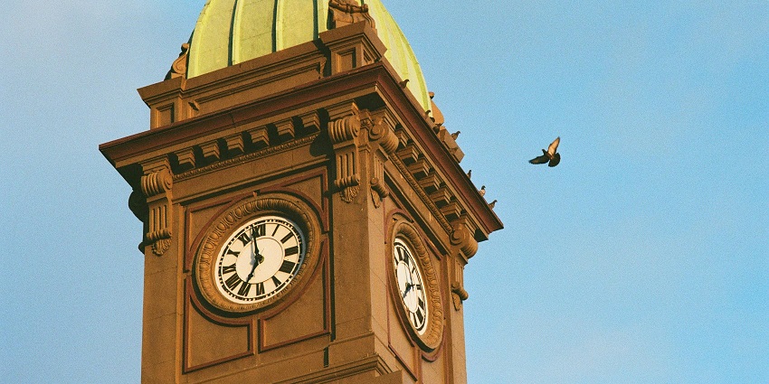 An image showing a clock tower in Victorian architecture with a bird flying over it.