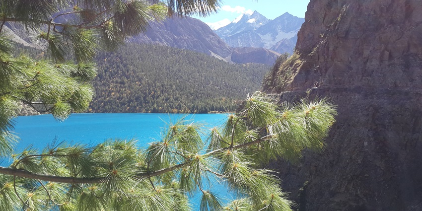 There are several options for stay with scenic views near Shey Phoksumdo National Park