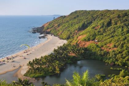 Picturesque view of Goa beach surrounded by lush greenery - shopping in Goa