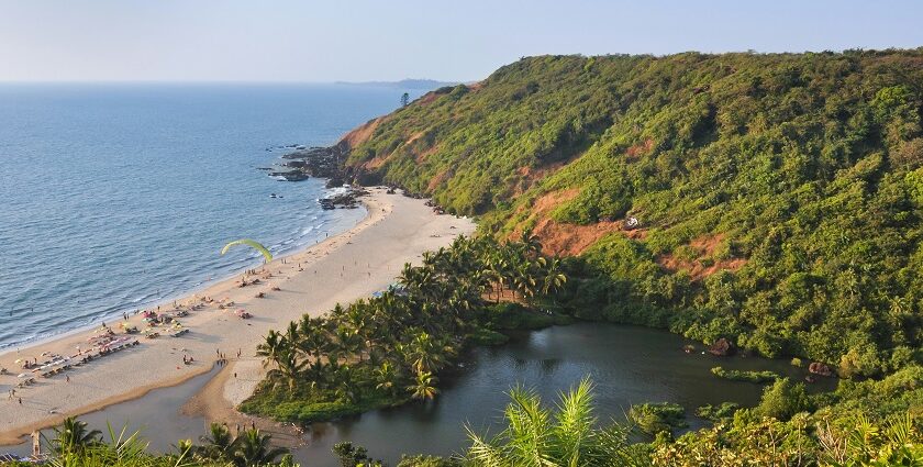 Picturesque view of Goa beach surrounded by lush greenery - shopping in Goa