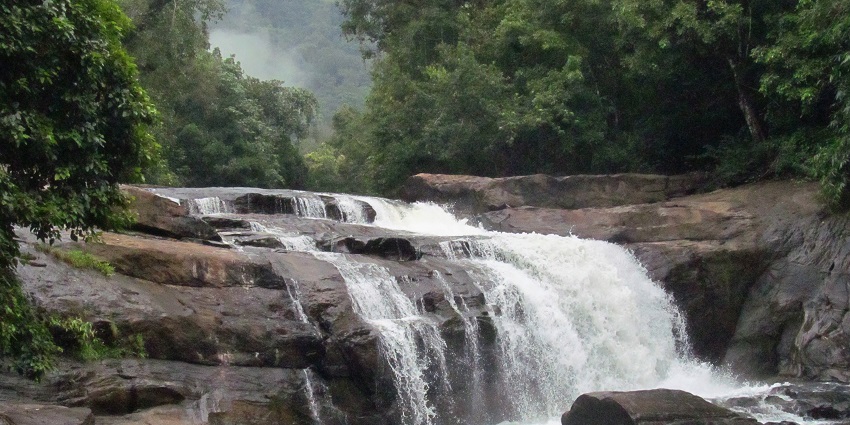 Plan your excursion to Kerala's cascading attraction during the monsoon season.