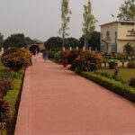 The Vikramshila Museum at the entrance of the excavation site in the lush green environment.