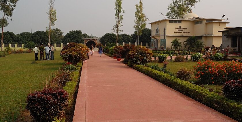 The Vikramshila Museum at the entrance of the excavation site in the lush green environment.