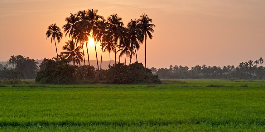 Scenic view of vibrant Indian villages showcasing lush landscapes and traditional homes.