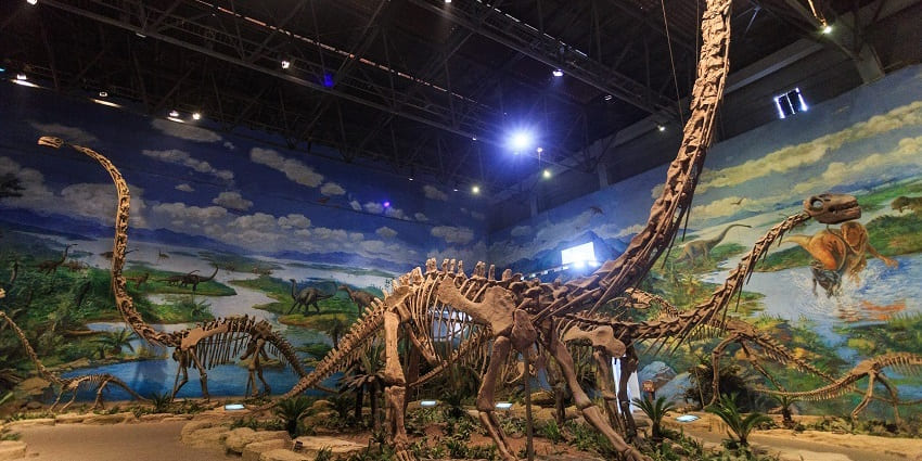 Balasinor Dinosaur museum offers VR experience, taking you back 65 million years, allowing you to interact with life-like dinosaurs.