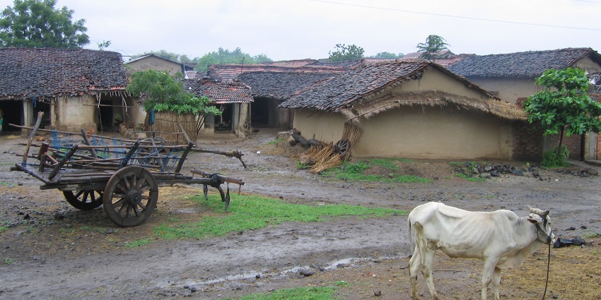 An image view of Bhapel village, showcases rural charm, lush fields, and vibrant local culture.